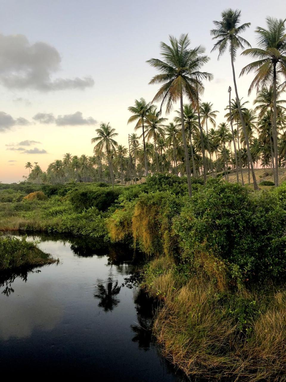 Lindo Village Imbassai Mata de São João Extérieur photo